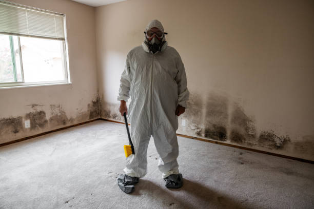 Best Toxic Mold Removal  in Maplewood, WA